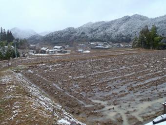 新鮮村の田んぼ