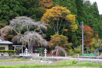 小野津島神社