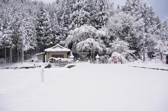 津島神社の雪景色
